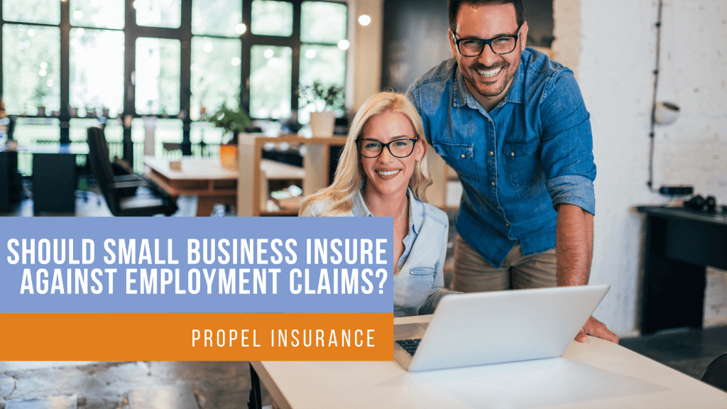 should small business insure against employment claims?