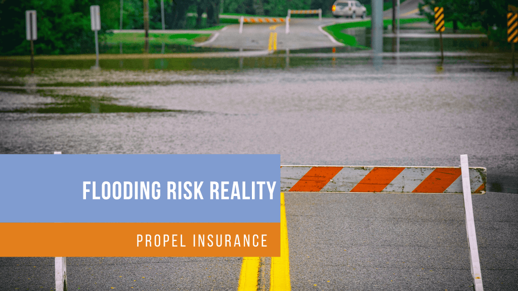 Flooding Risk Reality